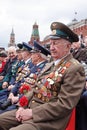 Victory Day 2011 Royalty Free Stock Photo