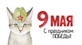 Victory Day May 9 poster with kitten portrait. Royalty Free Stock Photo