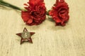 Victory Day. We remember the exploits of our grandfathers. Order of the red star on the background of carnations Royalty Free Stock Photo