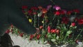 Victory Day in Russia: tradition of putting flowers to wall of memory