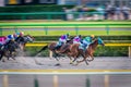 Victory moment of jockey in Tokyo horse racing