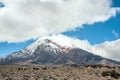 Vicugnas near stratovolcano Chimborazo Royalty Free Stock Photo