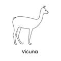 Vicuna icon line in vector, illustration of an animal.