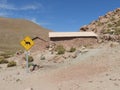 Vicuna warning sign and an old house in the Atacama desert Royalty Free Stock Photo