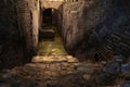 Vicus Caprarius, the underground ruins of the water cistern supplying water to ancient Rome Royalty Free Stock Photo