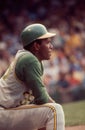 Vida Blue