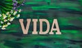 Vida, Life spanish text made with Wooden letters on Hand painted Canvas.