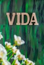 Vida, Life spanish text made with Wooden letters on Hand painted Canvas.