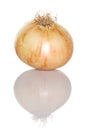 Vidalia Onion Royalty Free Stock Photo
