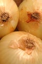 Vidalia onions 1 Royalty Free Stock Photo