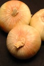 Vidalia onions 16 Royalty Free Stock Photo