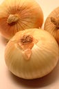 Vidalia onions 6 Royalty Free Stock Photo