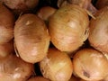 Vidalia onions Royalty Free Stock Photo