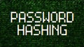 Video animation of a monitor screen with the message password hashing