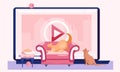 Video blog for pet owners, tutorial about keeping and feeding cats at home, funny animal stories