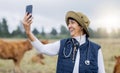 Video call, selfie and vet on a farm for consulting, communication and conversation about animals. Happy, speaking and