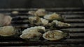 Close Up grilling of Scallops