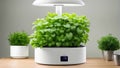 video explains the advantages of home hydroponic gardening, showcasing a modern aerogarden setup. It emphasizes eco