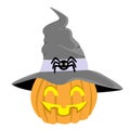 Halloween pumpkin vector gray hat spider ready for Halloween party eps