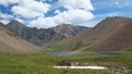 Video of Mountain Spirits Lake in Altai mountains. Herd of horses hides from horseflies on a snowfield