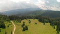 Video of a picturesque summer meadow