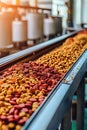 This video shows the production of pet food, showing the process of sorting and processing kibble Royalty Free Stock Photo