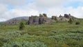 Video of stones rocks and thickets of dwarf birch Betula exilis on Altai highlands. Seminsky mountain range