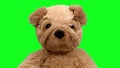 Teddy bear moving against green screen