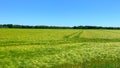 Videos of an inliner ride through nature along a country road and along forests in northern Germany