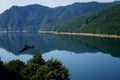 The Vidraru lake in Fagaras mountains of Romania