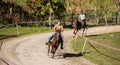 Vieira do Minho, Portugal - 14 November 2021: Amateur horse race in Vieira do Minho public park.