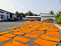 The drying leather in the tannery