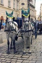 Vienna Austria cab tourism cobblestones