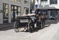 Horses and carriages in Vienna Royalty Free Stock Photo