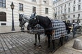 Vienna. Austria. Horses with carriages and carts waiting for tourists in the old city streets Royalty Free Stock Photo