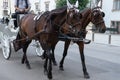 Vienna / Austria - 31 July 2019: Coach driving in the streets of vienna, Austria with the baroque carriage vehicle with horses for Royalty Free Stock Photo