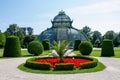 Austria, Vienna, Schonbrunn The Palm House, red flowers in the flowerbed