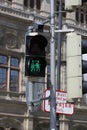 VIENNA, AUSTRIA - JUNE 13, 2023: Is the symbol shown on pedestrian signals in Vienna