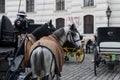 VIENNA, AUSTRIA, NOVEMBER 16, 2013: Horses with carriages and carts waiting for tourists in the old city streets Royalty Free Stock Photo