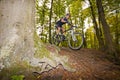 Mountainbiker jumps off a root