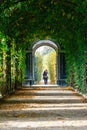 Schonbrunn Palace in Vienna, romantic garden walkway forming a green tunnel of acacias in Vienn Royalty Free Stock Photo