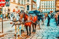 VIENNA, AUSTRIA- SEPTEMBER 10, 2015: Carriage horses walking in the streets of one of the most beautiful European cities - Vienna. Royalty Free Stock Photo