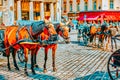 VIENNA, AUSTRIA- SEPTEMBER 10, 2015: Carriage horses walking in the streets of one of the most beautiful European cities - Vienna. Royalty Free Stock Photo