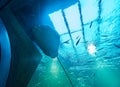 VIENNA, AUSTRIA - SEPTEMBER 8, 2017. Giant panoramic marine fishtank at Haus des Meeres zoo in Vienna, Austria