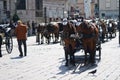 Vienna carriages waiting for tourists Royalty Free Stock Photo