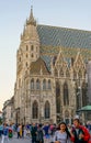 Vienna cathedral tiles roof at crepuscule Royalty Free Stock Photo