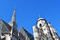 Vienna Cathedral of Saint Stephen`s