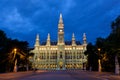 Vienna city hall in night Royalty Free Stock Photo