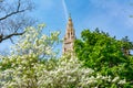 Vienna City hall in spring, Austria Royalty Free Stock Photo