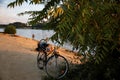 Vienna Danube island in summer